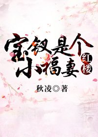 （BG/红楼同人）宝钗是个小福妻[红楼]