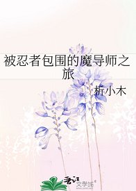 （火影同人）被忍者包围的魔导师之旅